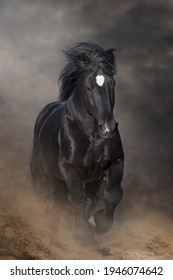 Stallion with long mane run fast against dramatic sky in dust