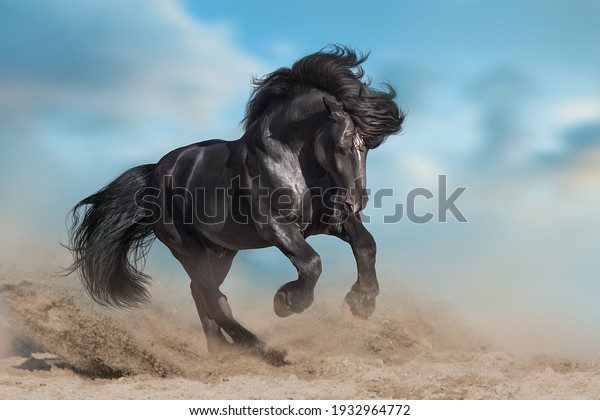 Stallion with long mane run fast against dramatic\
sky in dust