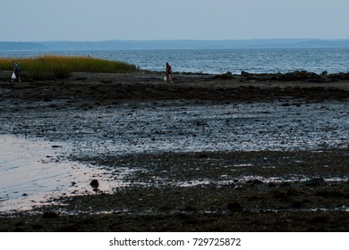 Stamford, CT, USA - October 6, 2017: Dusk Scene Of Men With Fishing Gear Walking At The Park In Stamford Connecticut On October 6th
