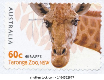 A Stamp Printed In AUSTRALIA Shows The Giraffe From Taronga Western Plains Zoo,NSW, Series, Circa 2012.