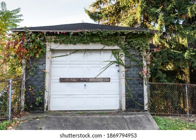 Stand Alone Single Car Garage With Ivy, Residential Architecture, Horizontal Aspect