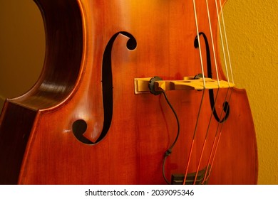 Stand Up Bass Close Up Shot Against Plain Warm Yellow Wall