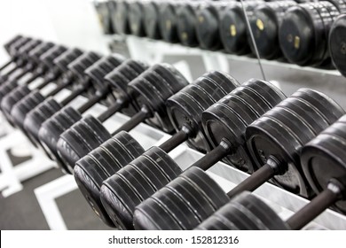 Stand with dumbbells. Sports and fitness room. Weight Training Equipment