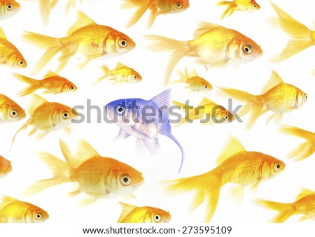 Stand out from the crowd