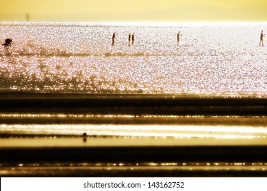 Stand Up Paddle Boarding Fitness Group Silhouette Brisbane Australia