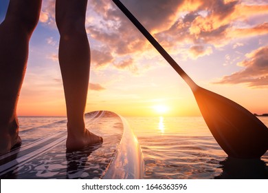 Stand up paddle boarding or standup paddleboarding on quiet sea at sunset with beautiful colors during warm summer beach vacation holiday, active woman, close-up of water surface, legs and board