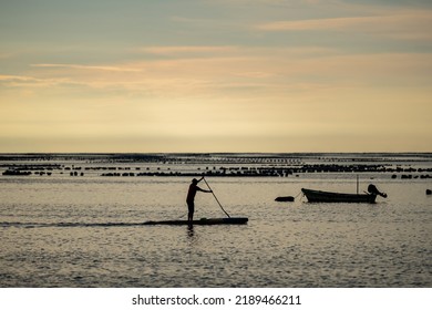 Stand Up Paddleboarding By A Man In Twilight Time At Sriracha Beach, Thailand.