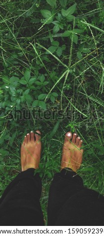 Similar – Feet of a woman wearing sandals