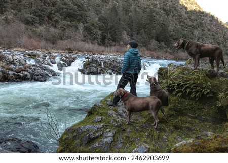 Standing at Class V rapid on Rogue River with 3 large dogs