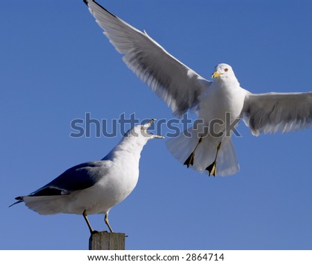 Similar – Image, Stock Photo Neckartiere River