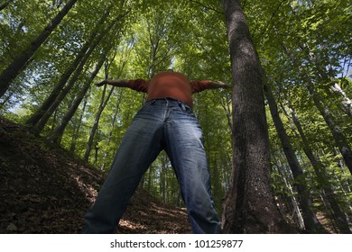 standing man and forest