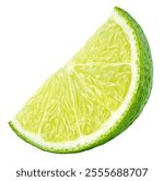 Standing ripe slice of lime citrus fruit isolated on white background. Full depth of field.