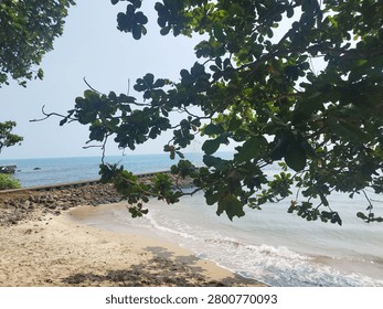 Standing steadfast between earth and ocean