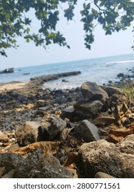 Standing steadfast between earth and ocean
