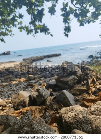 Standing steadfast between earth and ocean