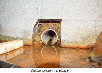 Standing Water In Crawl Space.