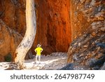Standley Chasm, West MacDonnell Ranges, Northern Territory, Australia