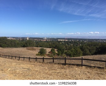 Stanford The Dish 