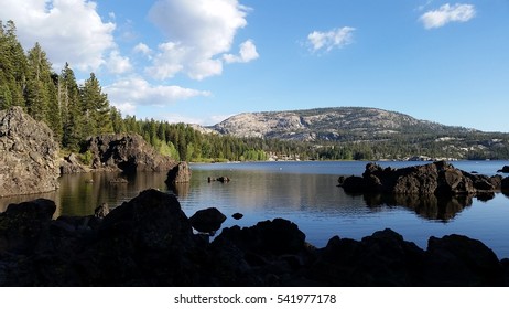 Stanislaus National Forest