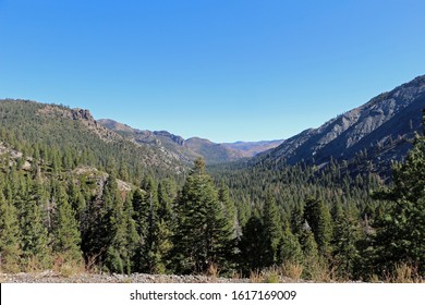 Stanislaus National Forest In California USA