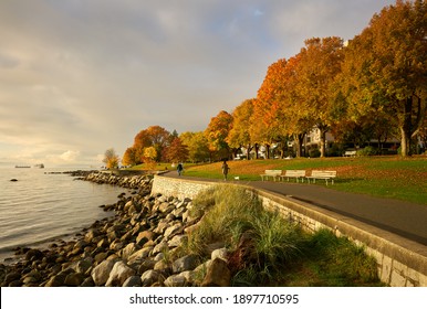  Stanley Park Seawall Path Autumn. Autumn leaves line the Stanley Park seawall in Vancouver’s West End, Vancouver, Canada.

                              