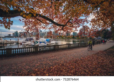 Stanley Park Vancouver Fall