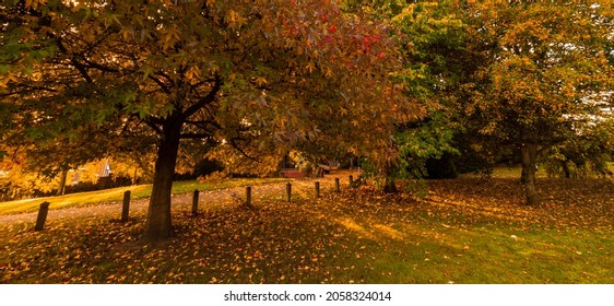 Stapenhill Woodland Walk And Riverside Walk, Burton On Trent UK, Autumn 2021.