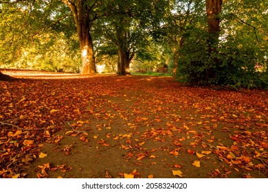 Stapenhill Woodland Walk And Riverside Walk, Burton On Trent UK, Autumn 2021.