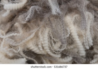 Staples Of  Merino Wool