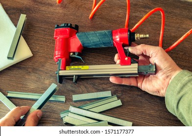 Staples, for a pneumatic stapler, in a carpentry workshop
