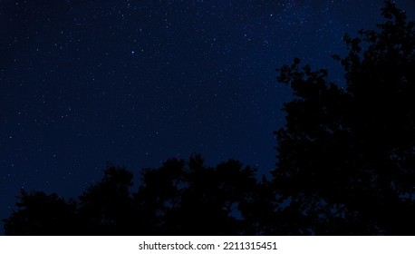 Star Filled Night With Silhouetted Trees Near Raeford North Caroina