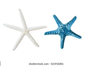 star fish isolated on white or decorative on your ad.
