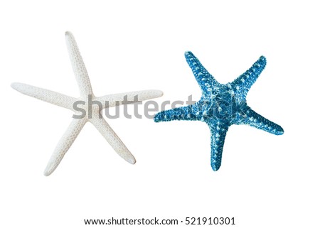 star fish isolated on white or decorative on your ad.