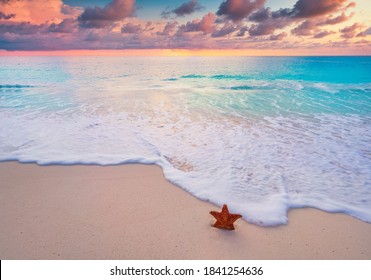 Star Fish On Sandy Beach With Sunset