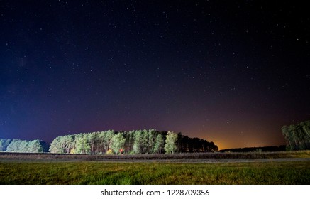 star up forest