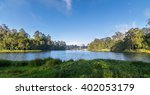 The star shaped Kodaikanal Lake, also known as Kodai Lake is a man-made lake located in the Tamil Nadu, India. The lake is surrounded by lush green vegetation and trees.