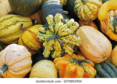 13,506 Gourd shape Images, Stock Photos & Vectors | Shutterstock