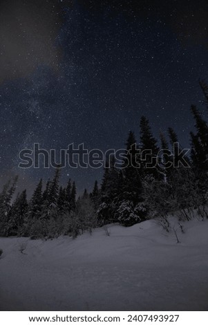 Star sky with a hint of clouds in winterlandscape.