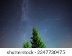 Star sky nature landscape, view to Milky Way with trees in foreground during a night of Perseid Meteor Shower observation, a colorful shooting stars. Astronomy concept photo.