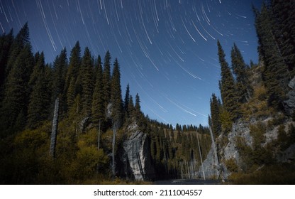 star tracks on a moonlight night in the mountains with river and pine forest