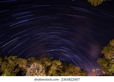 Star Trail Of Beautiful Brazilian Savannah Viewpoint - Powered by Shutterstock