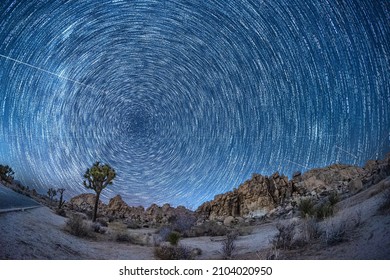 Star Trail In Joshua Tree National Park