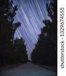 Star Trails Between the Trees