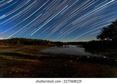 Star Trails And Fireflies In Coastal Maine.