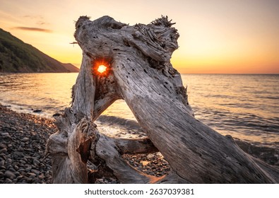The Starburst sun through a hole in a piece of driftwood on Porlock beach at sunset