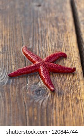 Starfish