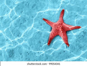 Starfish in blue water with light reflection. - Powered by Shutterstock