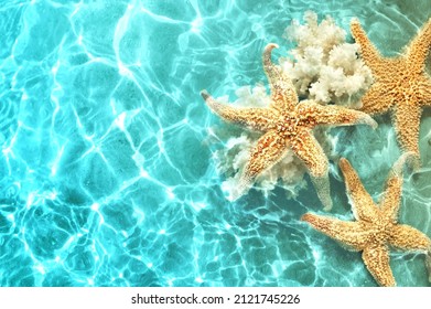 Starfish and coral on the summer beach in sea water. Summer background. Summer time. - Powered by Shutterstock