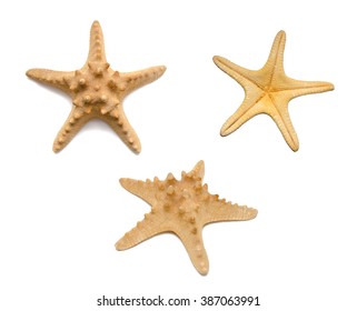 Starfish Different Angles Isolated On White Stock Photo 387063991 ...