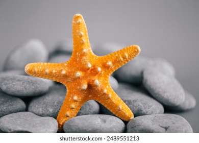  starfish in gray stones on a gray background.Gray pebbles and starfish texture. Marine background in orange-gray tones.Summer nautical decor  - Powered by Shutterstock